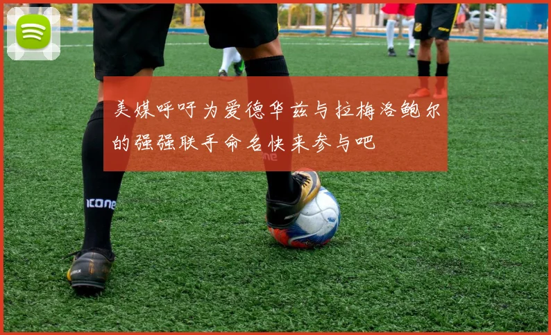 美媒呼吁为爱德华兹与拉梅洛鲍尔的强强联手命名快来参与吧